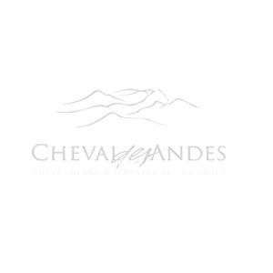 cheval-andes